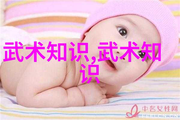 太极拳24式图解中的抱球体悟