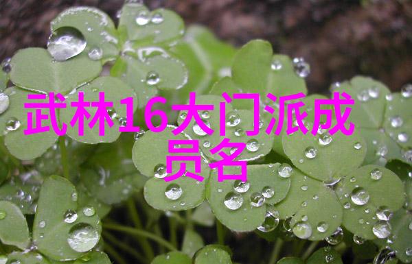 男人眼中的女人武功好 - 柔情似水英姿飒爽男人心目中女英雄的武术魅力