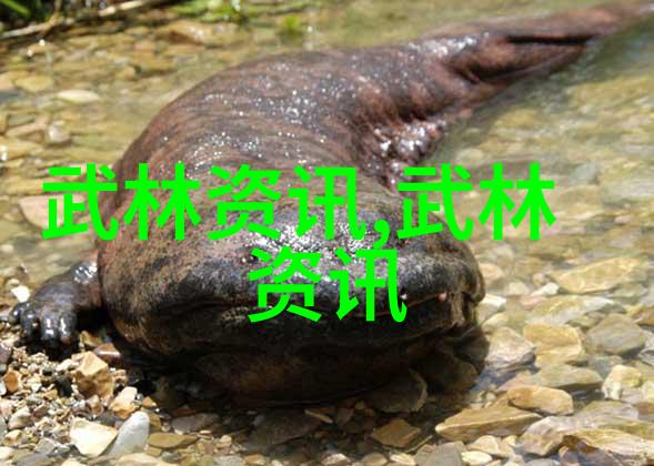 武术基础动作研究探究内功与技巧之本