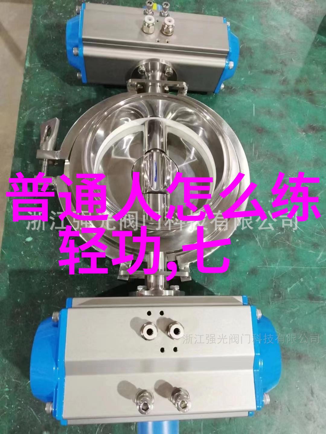 禁用武术的网站-武林秘密揭开禁锢武术的网络密码