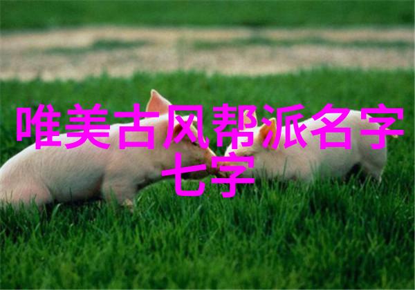 太极拳从老夫子到新一代打造笑料满天的二十四式大师