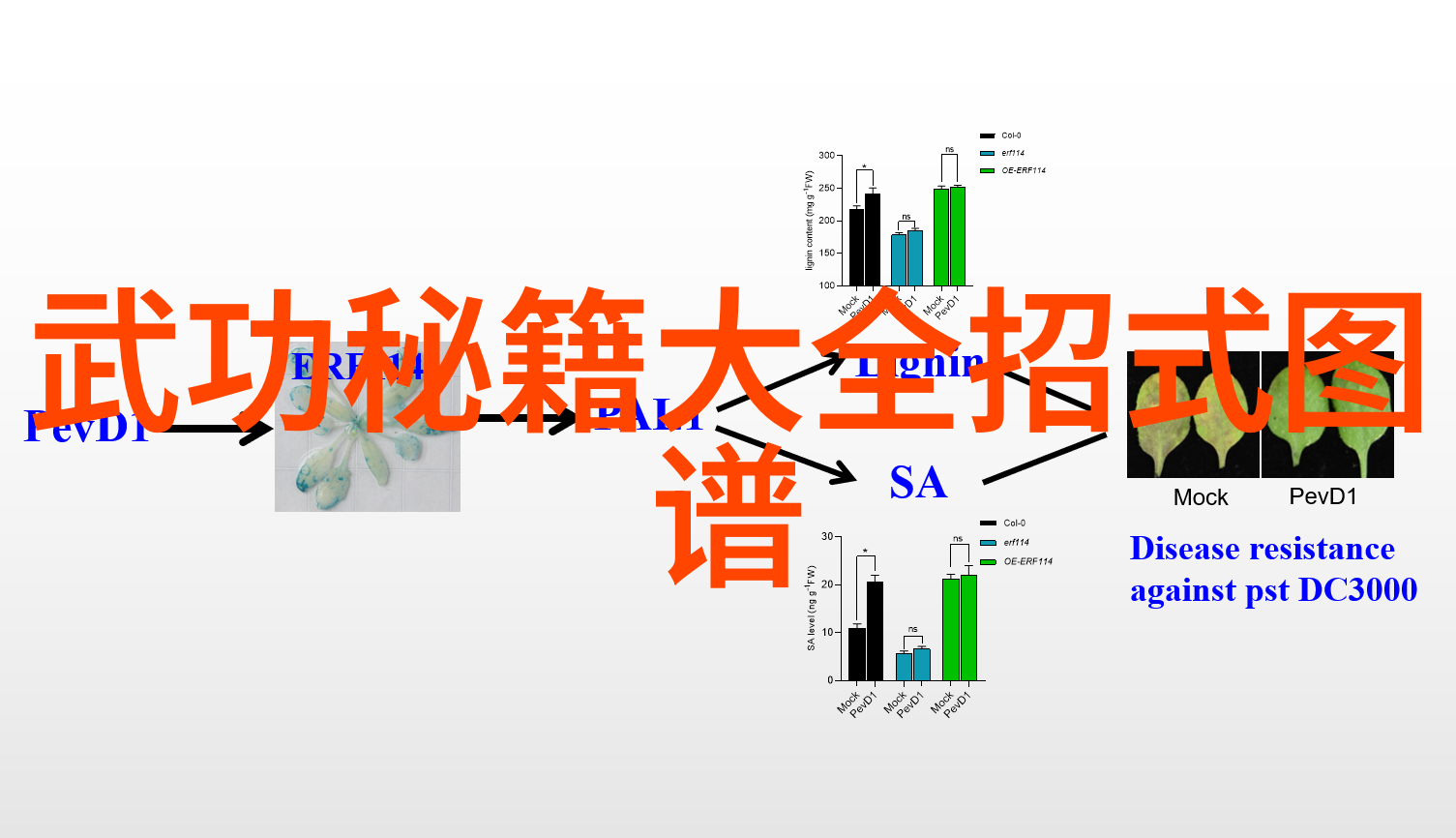 奇幻世界-穿梭于小说里好听的宗门探秘神秘教派