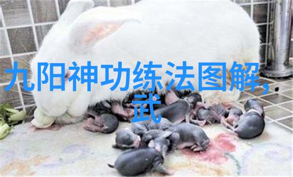 老年痒症记淑芬的五十岁春秋