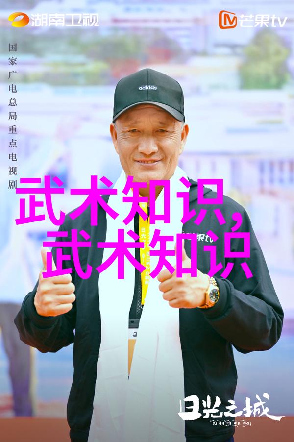 羽毛球单打规则感谢大马羽总和粉丝的支持李宗伟没有你们就没有我