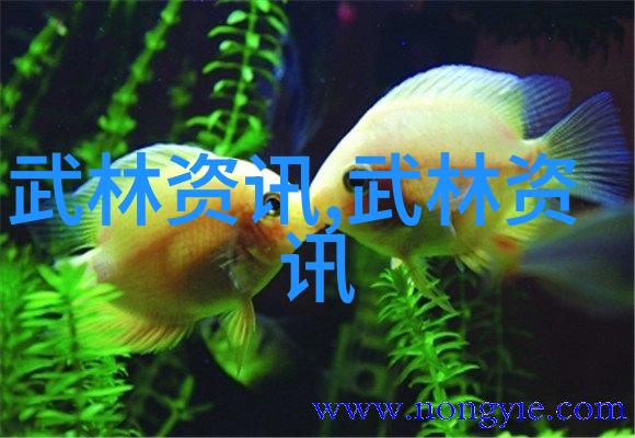 亚洲橄榄球雄鹰在香港战场上惊险连胜仿佛复刻了橄榄球励志电影中的逆袭奇迹