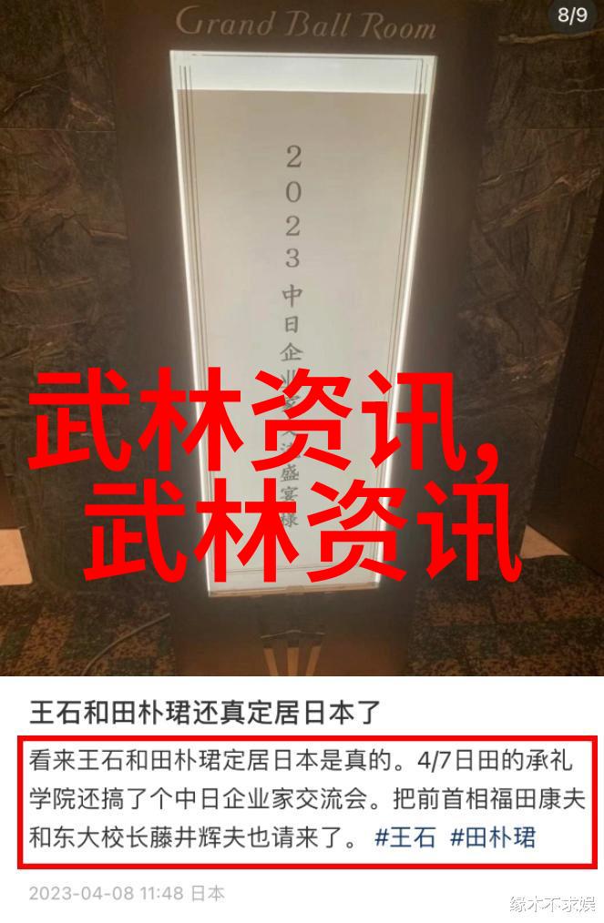 内家外派揭秘武术的深层智慧
