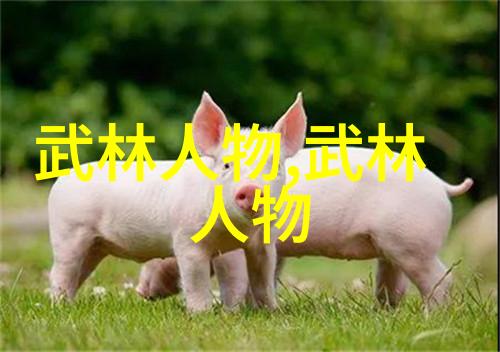 太极拳教程-掌握24式太极拳口令全套打造完美的内家拳技