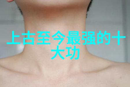 仙门秘籍临清肘捶拳法神功名扬四海