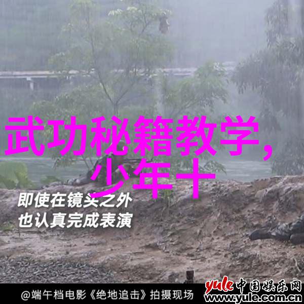 屠龙记中的二十一门派之杨氏太极拳反复绘影成趣