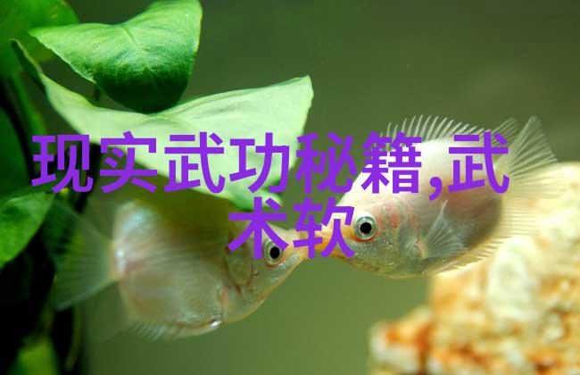 神秘世界里的宗门寻宝追逐仙气飘飘的传奇