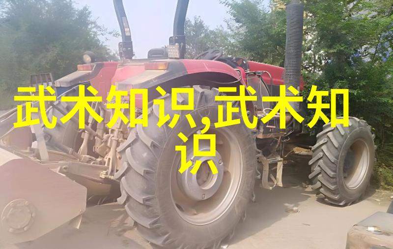 超越招式悟透意境怎样深化对功夫秘籍的理解