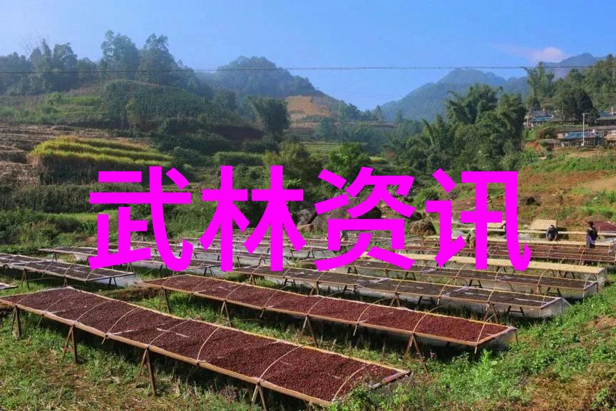 探秘武林世界那些被遗忘的门派名字