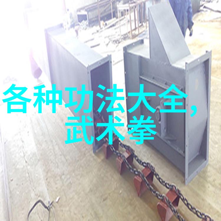 中华武术究竟哪一门功夫最具实战价值