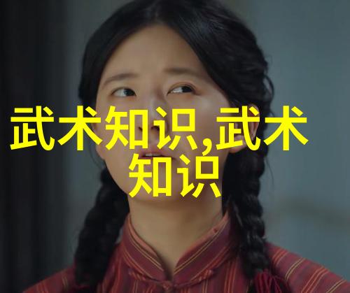 武道的两面剖析武功与武术的不同之处