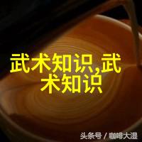 实战十绝揭秘武术界最具威力的十大拳法