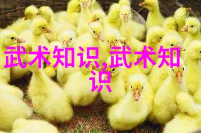 李梓嘉技艺如断线球突然中断李梓瑜却似在体会到对方的旋转风暴