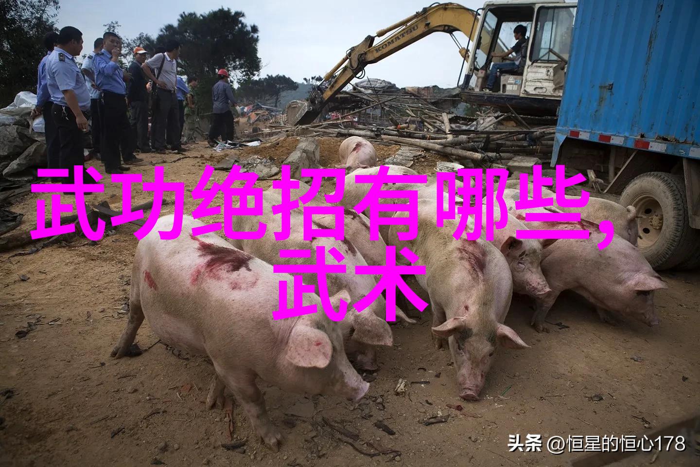 龙虎斗智深入剖析古代格斗术中的智谋口诀系统
