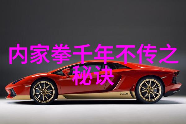 张志明的骨盆偏沉带动全身这可比中国武术中各种拳法的多样性要少得多