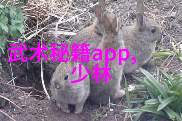 她面容绽放的瞬间