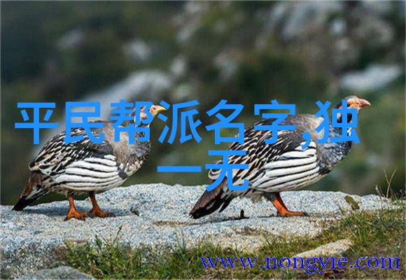公平的报复txt-正义的回音公平报复的道德探究
