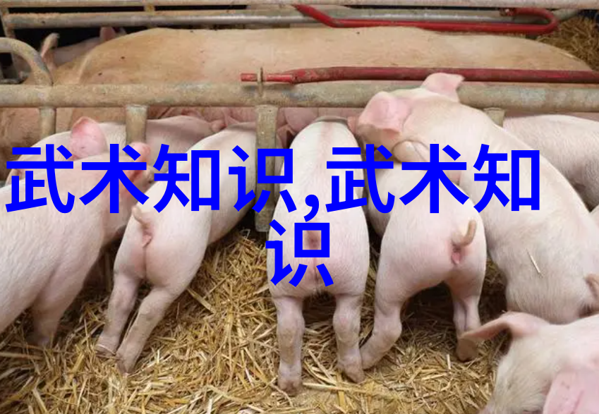 古代武功秘籍传说中的兵器与技巧