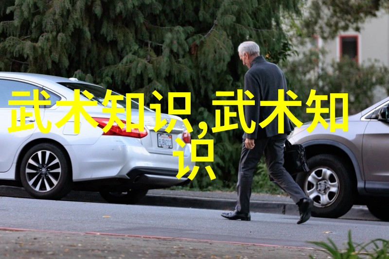 魔影蔽日佛光普照道行隐晦侠心明显绝技惊天但行低调