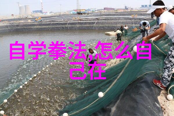浅谈意练太极拳古代神功绝技的传承者