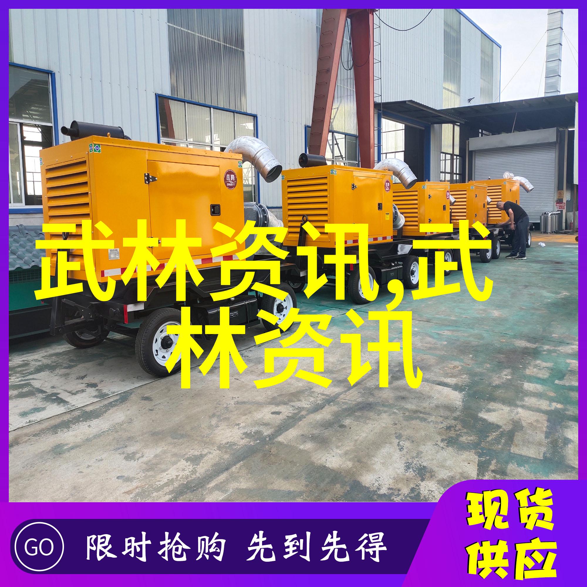仙盟秘传无极门古今神话中的拳道之冠