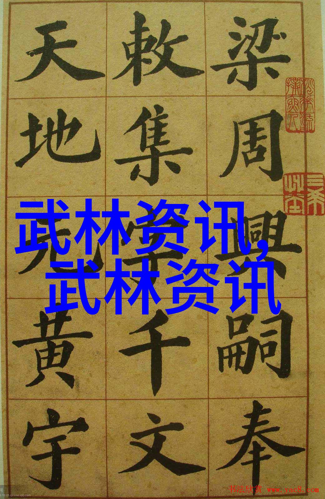 中国传统武术拳法-中华武学宝库中的精华技巧
