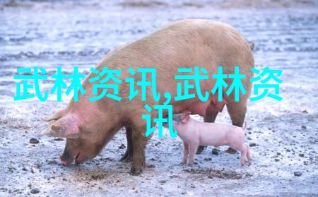 一招制敌揭秘李小龙拳击技巧与对手应对策略