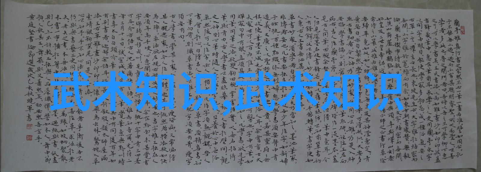 男人眼中的女人武功高女拳的魅力与实力