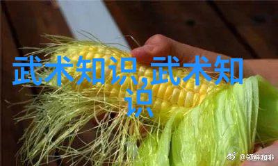 功夫怎么练浅探掤劲在太极拳中的秘密-马俊恩