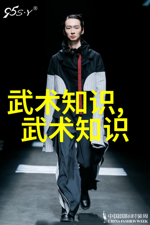 世界上最狠的拳法揭秘太极拳内在之力
