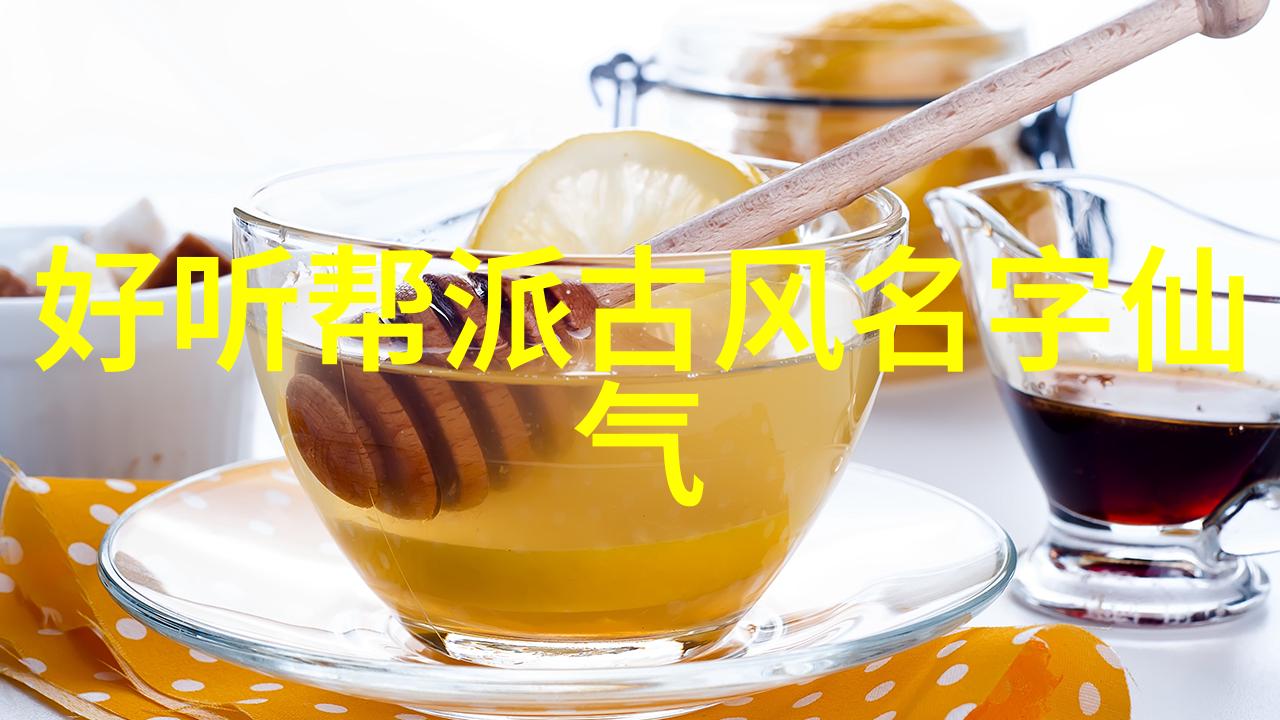 北京鸣生亮武学研究会报告志伟曹春华李学信探索武功自学教学视频新途径