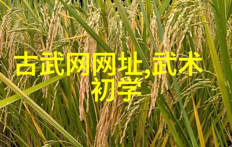 排球女将演员表北京队在全国男排联赛中遭上海队击败输在了精准服务与强势防守的缺失上