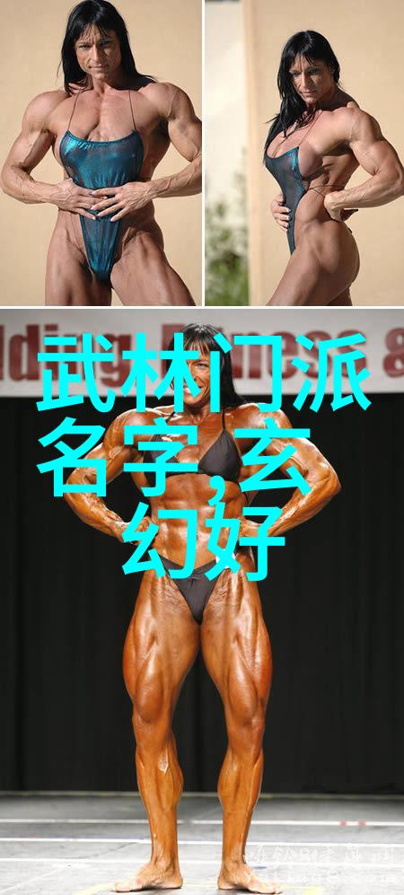 内家外家硬功软功深入剖析中国三十大武学传统