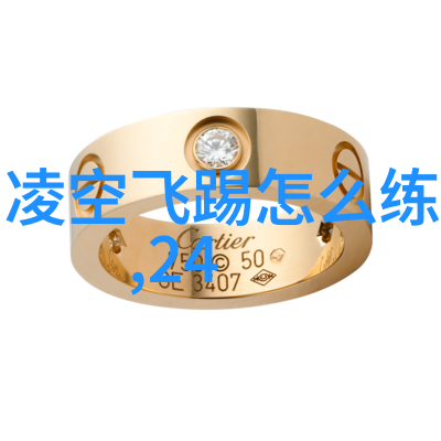 从道教内丹到太极拳王献斐解读七个创拳说中的太极24式正面背面变换路径