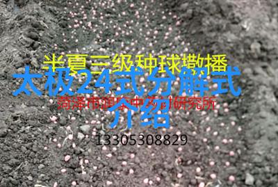 逆龙道穿越者与神秘力量的对决