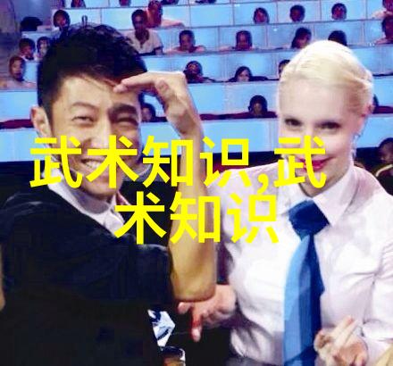 图解武学经典详解武功秘籍中的精妙拳法