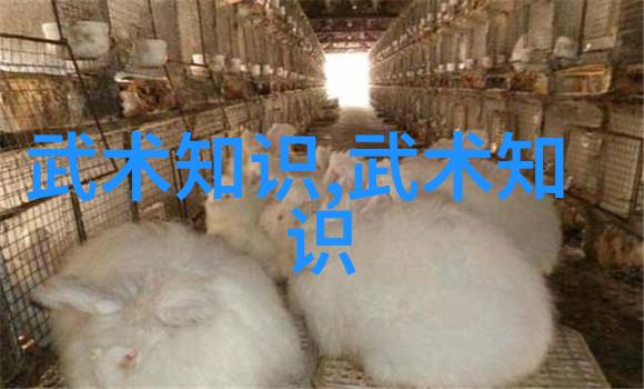 武林绝学武功秘籍大全中的高级拳法技巧