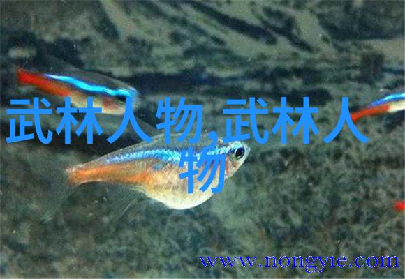 铁血兄弟会坚定信念共赴荣耀之旅