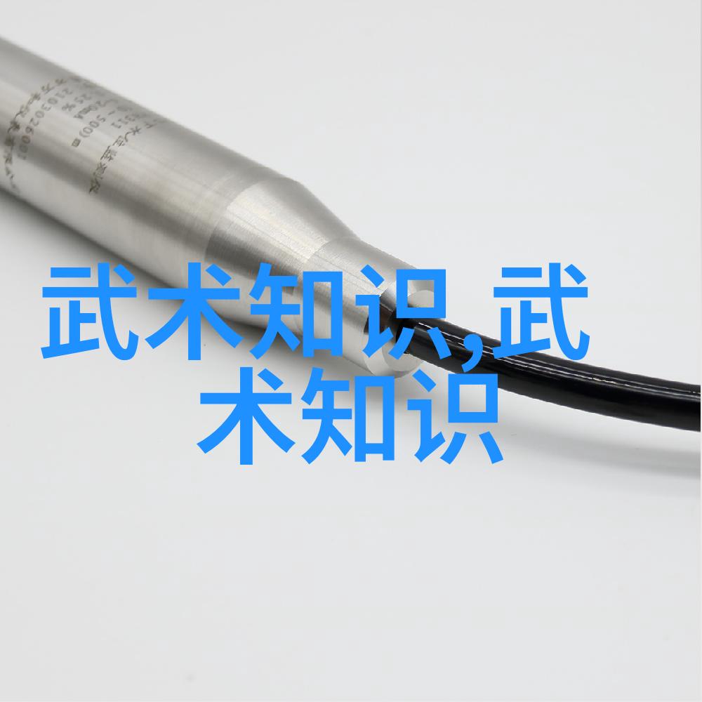 体验传统文化48式太极拳全套视频带口令的魅力