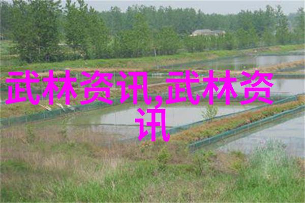 寻找江湖真谛武林各派究竟有何不同