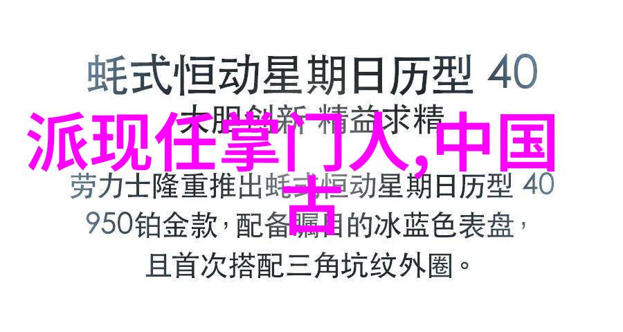 掌握太极拳精髓一步步解析24式教程