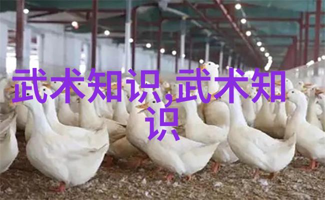 武林秘籍大全内外行功要诀在社会中的应用