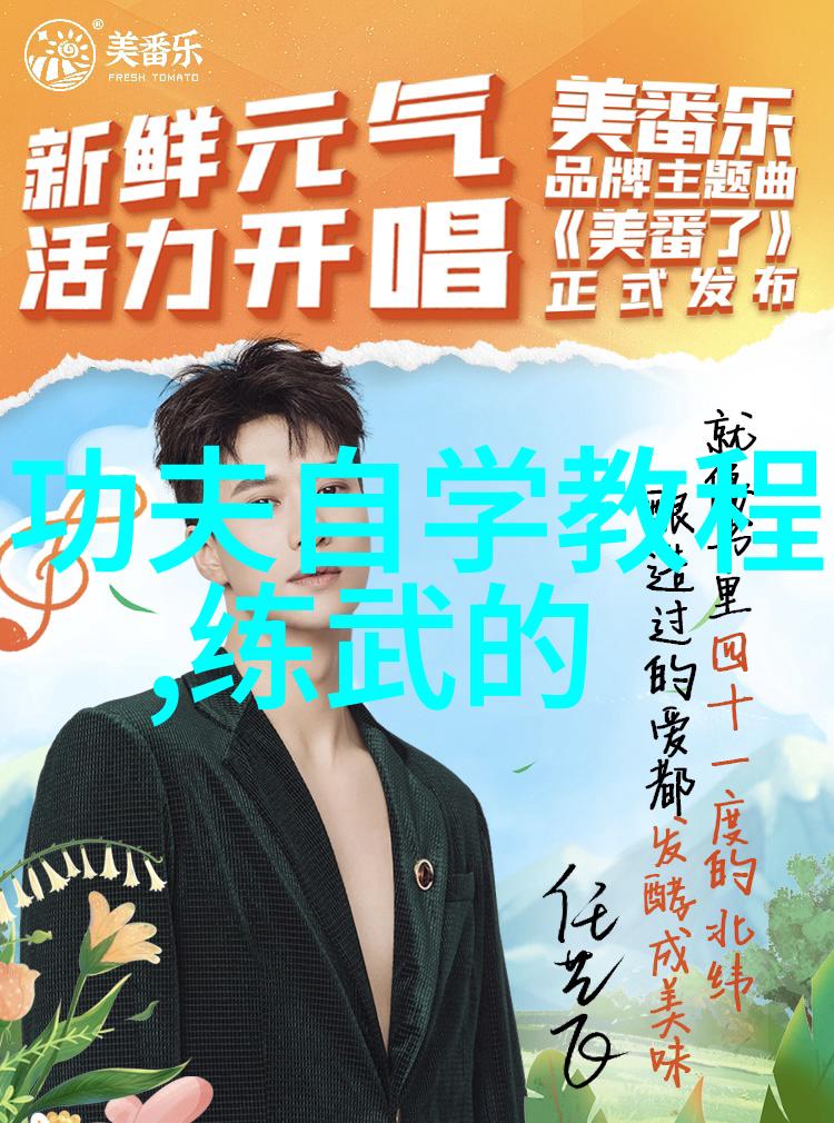 拳在拳外中国武功秘籍的大全书