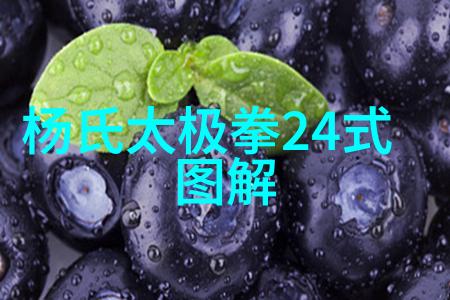 霸气帮派征服者联盟的崛起与霸主地位的巩固
