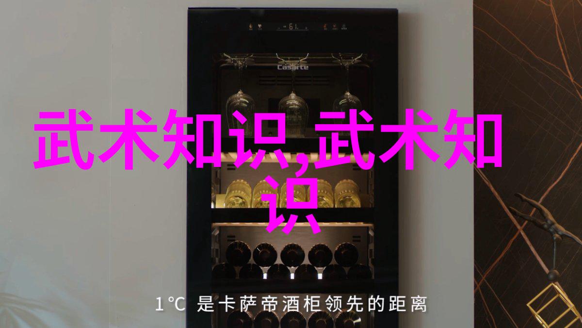 高水平武术运动员对练套路演练负荷强度的研究-唐文兵 刘同为