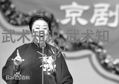 现代门派有哪些揭秘肖氏心意拳的独特魅力