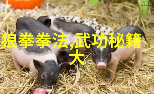 江苏武林门派疯狂的拳种在社会舞台上跳动